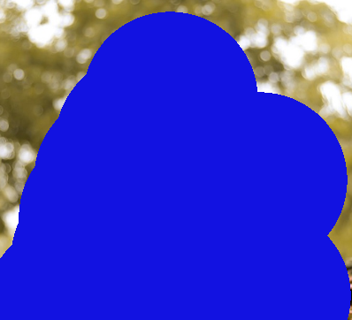 মোঃ তানভীর